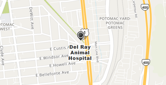 Hours & Location : Del Ray Animal Hospital Hours & Location : Del Ray Animal Hospital